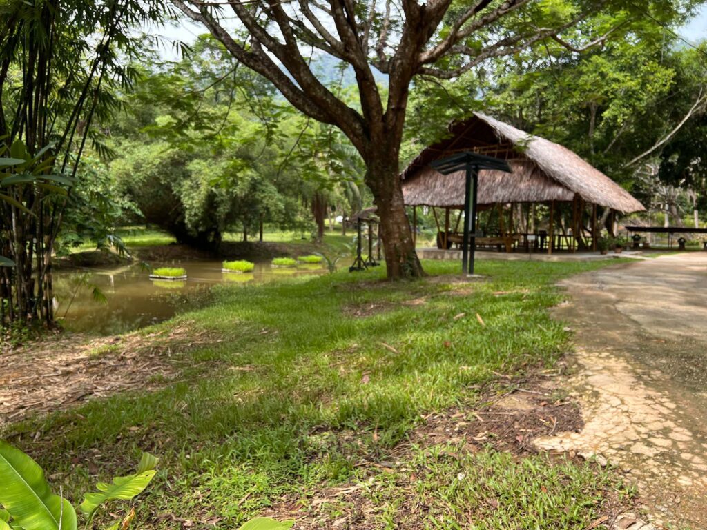 Any Food Lover Will Fall in Love With This Experience